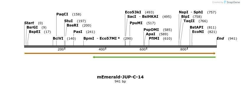 88966_map