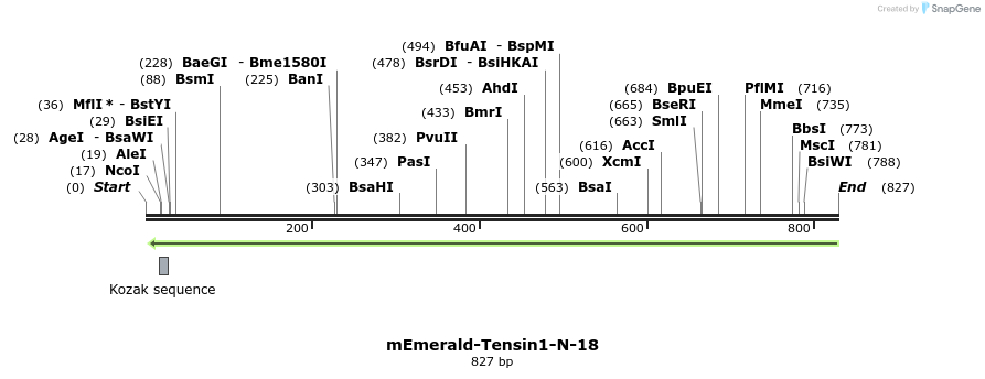 88968_map