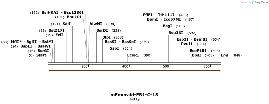 88970_map