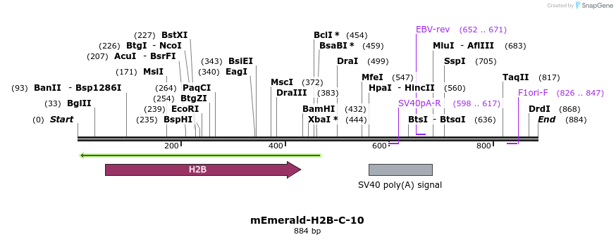 88972_map