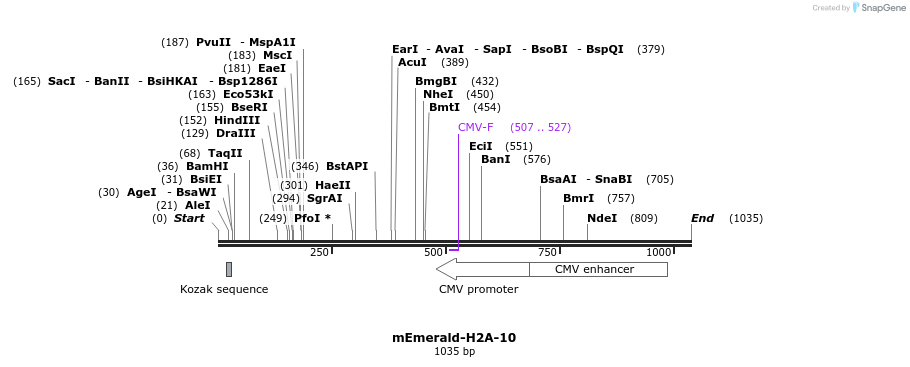 88974_map