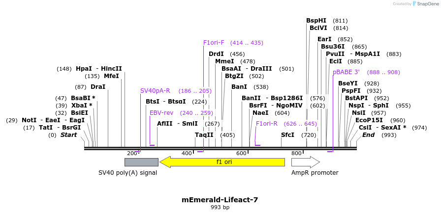 88975_map