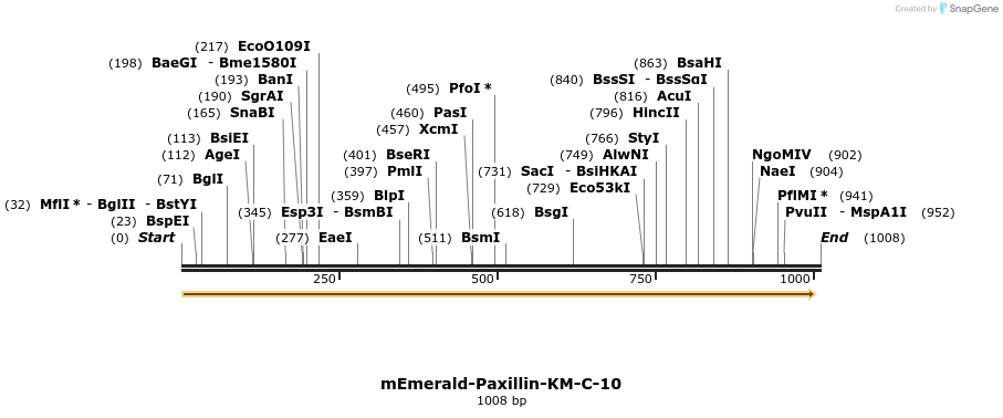 88977_map