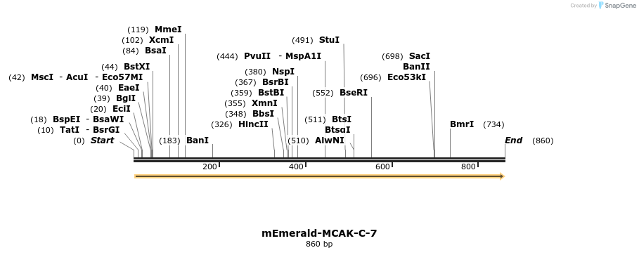 88978_map