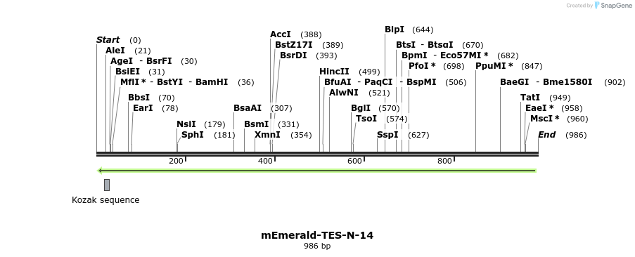 88979_map
