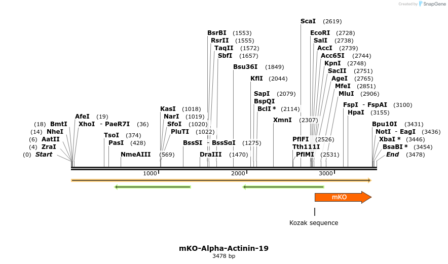 88982_map