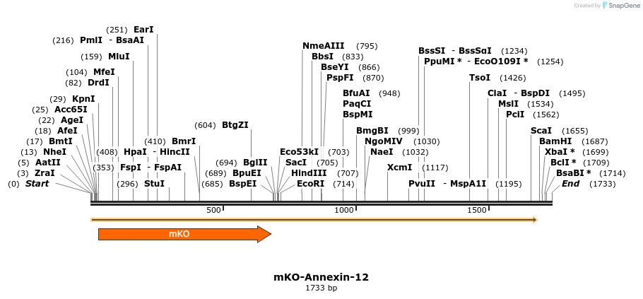 88983_map