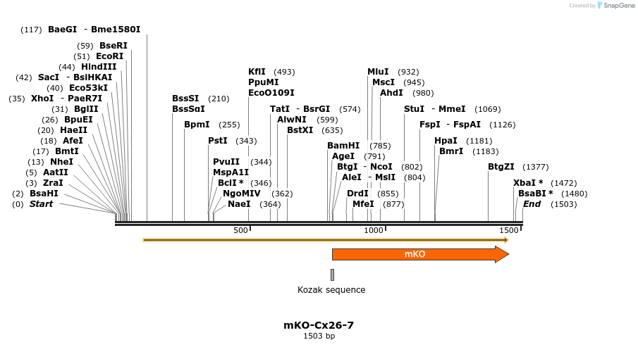88985_map