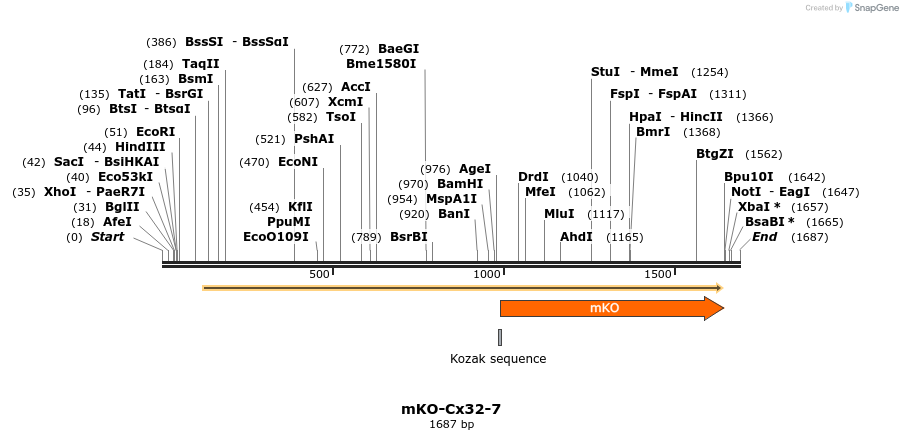 88986_map