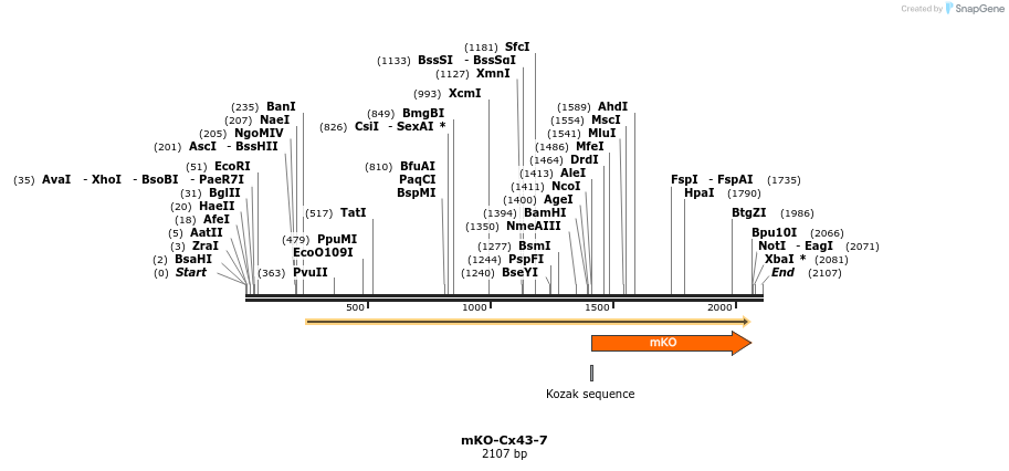 88987_map