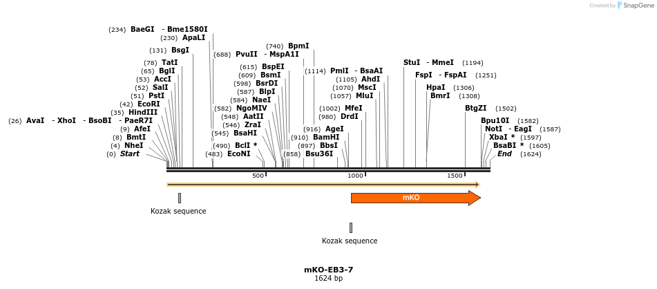 88989_map