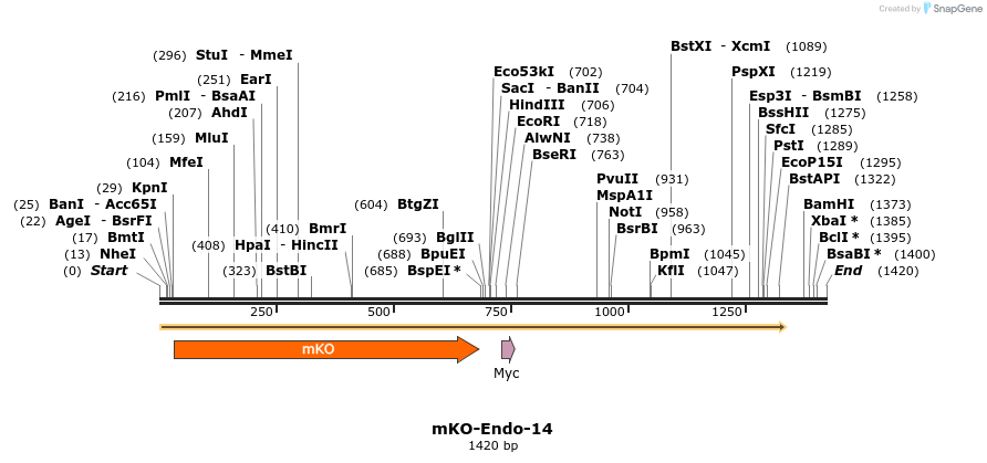 88990_map