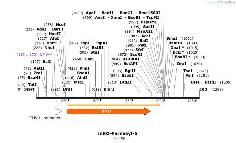 88992_map