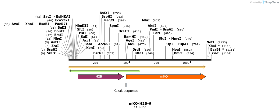 88995_map