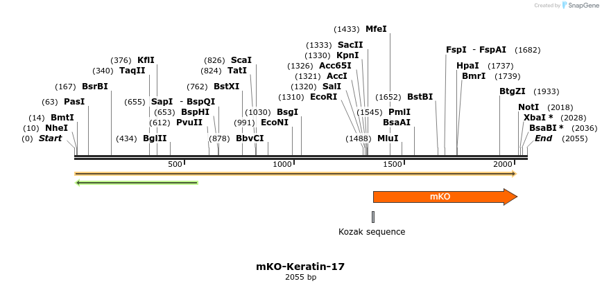 88996_map