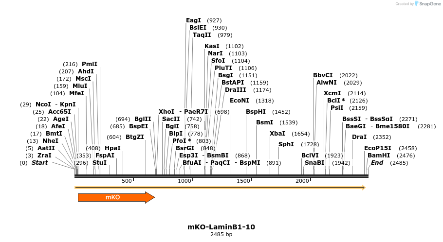 88997_map