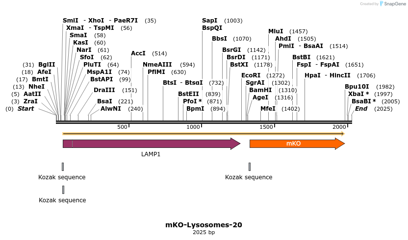 88998_map