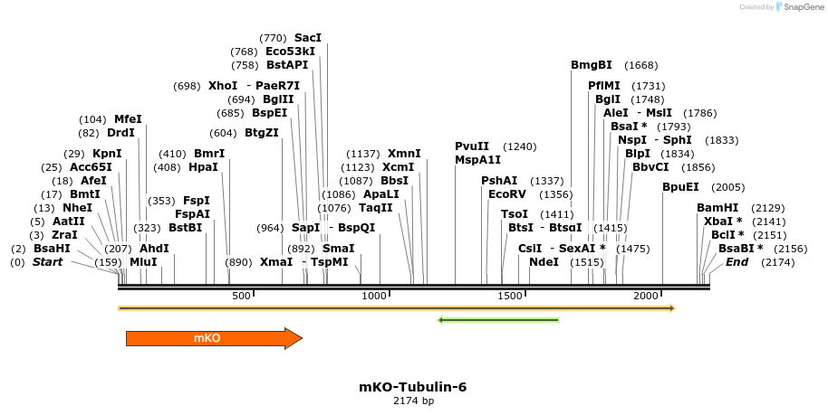 89002_map