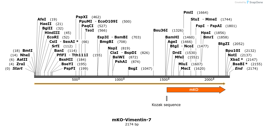 89003_map