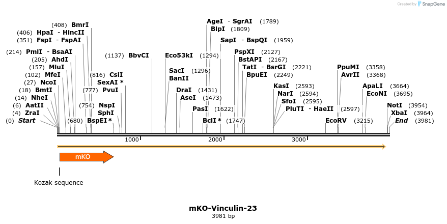 89004_map