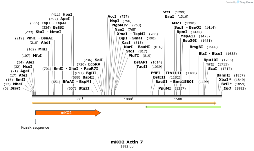 89006_map