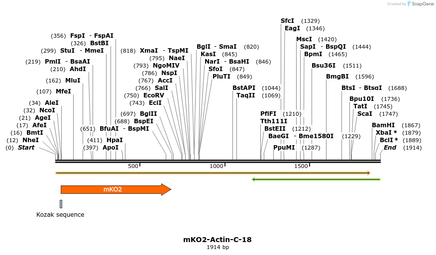 89007_map