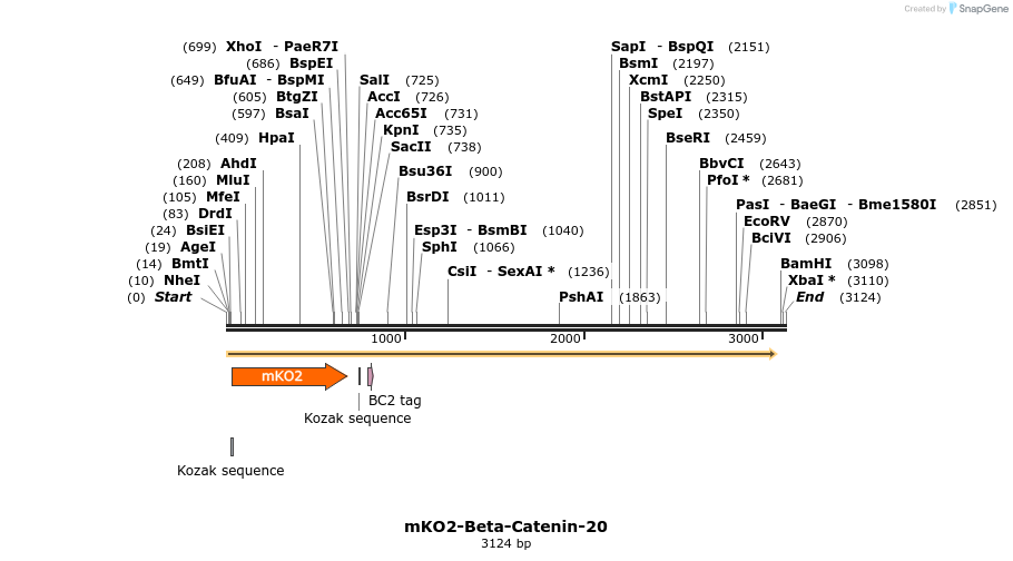 89009_map