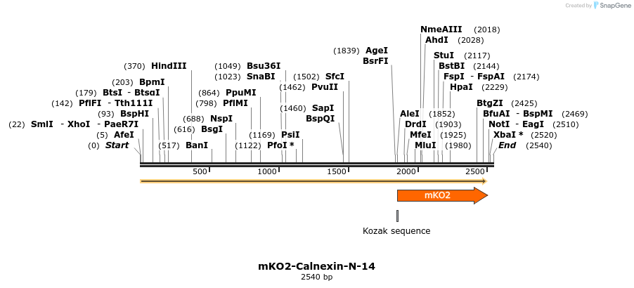 89010_map