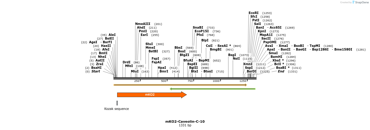 89011_map