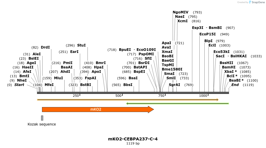 89013_map