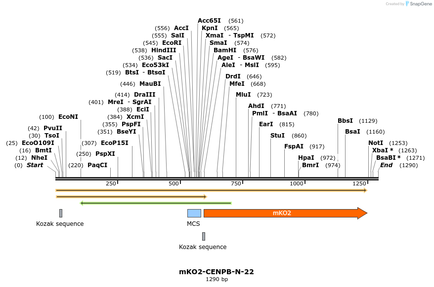89014_map