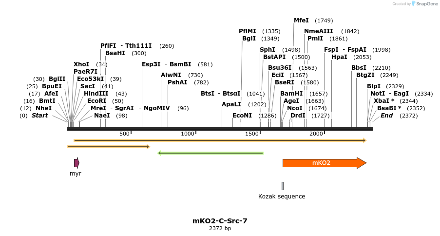89016_map
