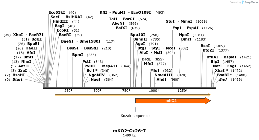 89017_map