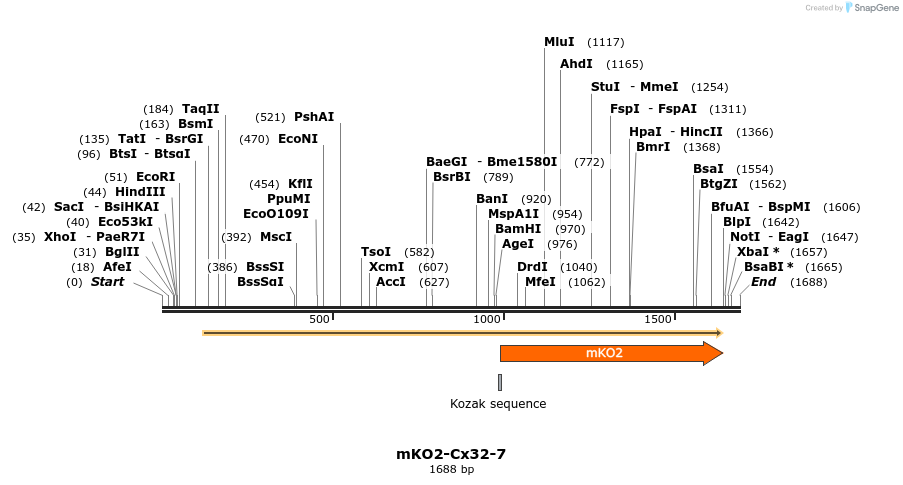 89018_map