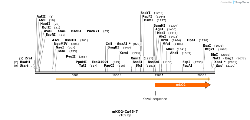 89019_map