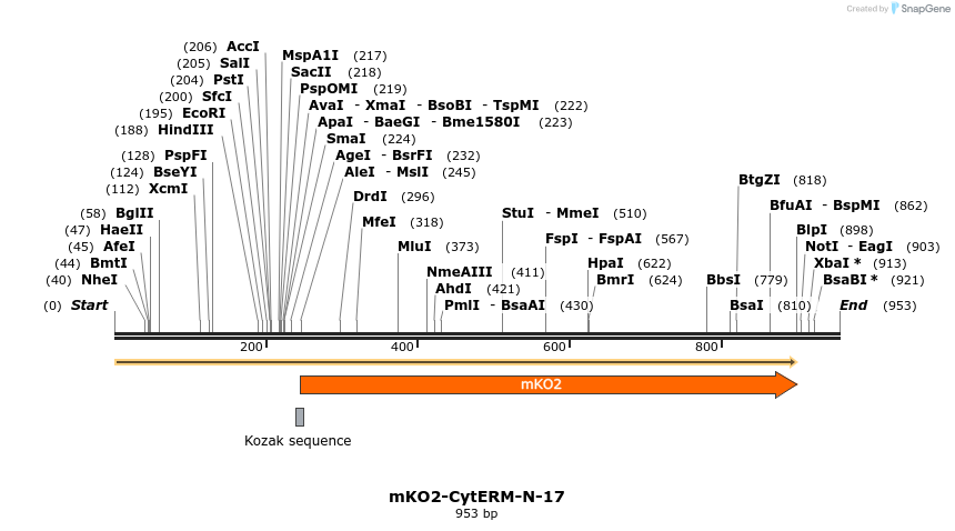 89020_map