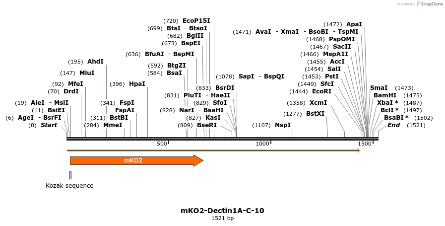 89021_map