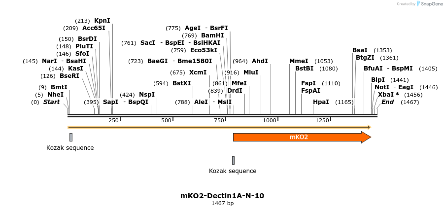 89022_map