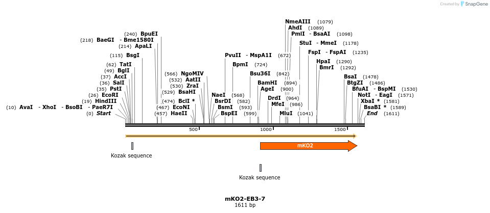89023_map