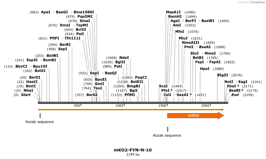 89026_map