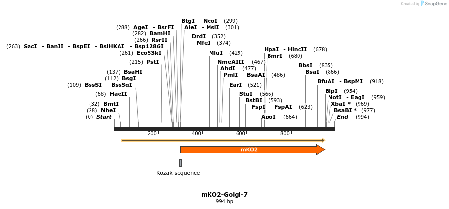 89027_map