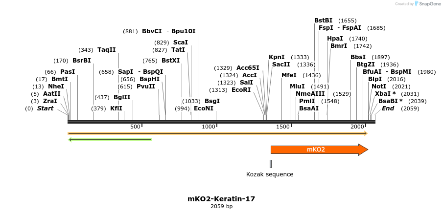 89029_map