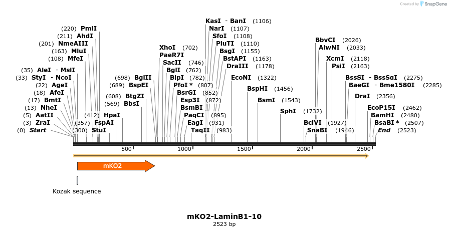 89030_map