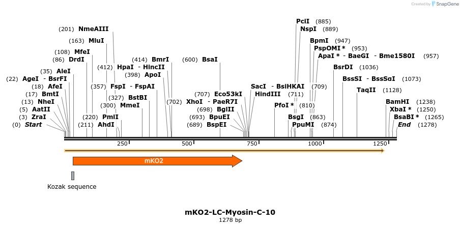 89031_map