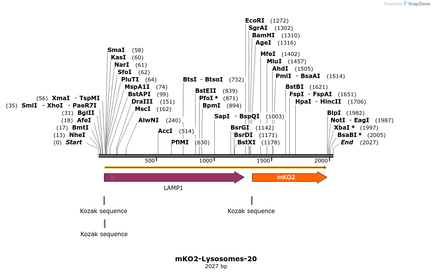 89032_map