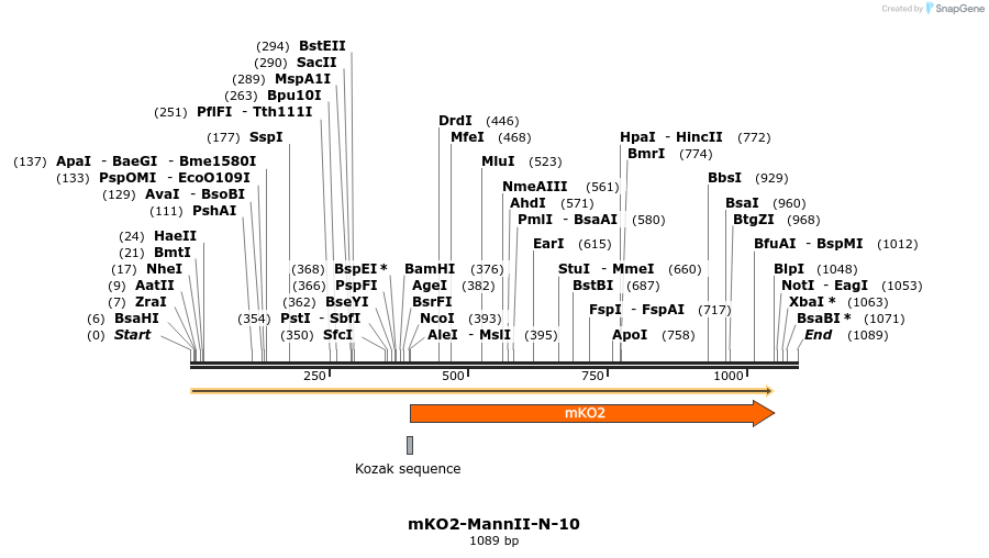 89033_map