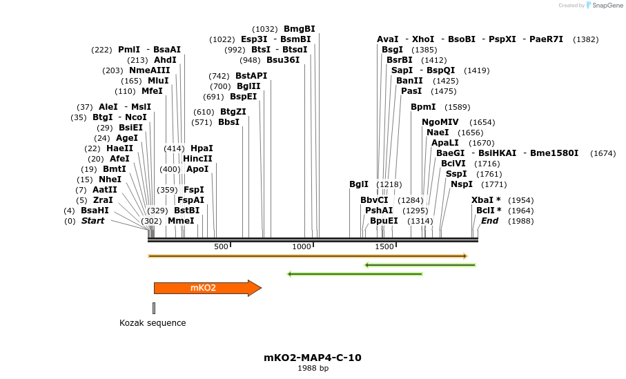 89034_map