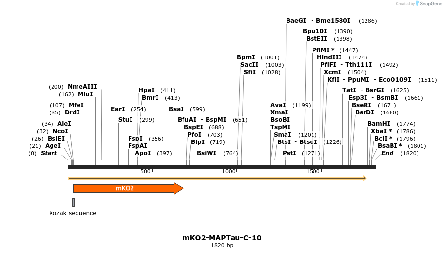 89035_map
