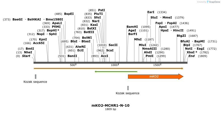 89036_map