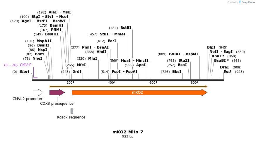 89037_map